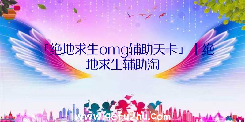 「绝地求生omg辅助天卡」|绝地求生辅助淘